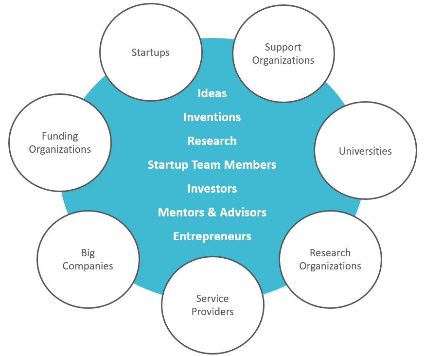 startup ecosystem structure