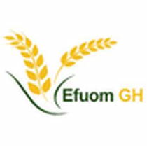 EFUOM logo